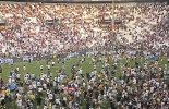 IMG_6528.jpeg