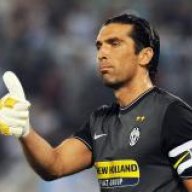 buffon spider