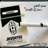 nedved 2011